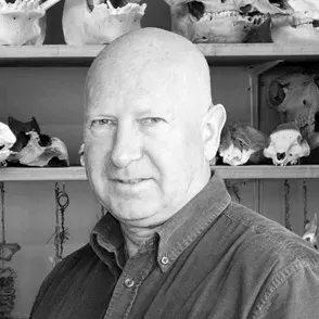 Werner Müller